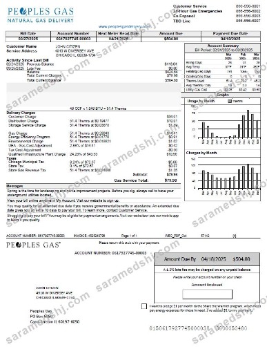 USA Peoples Gas utility bill template in Word and PDF formats, version 2